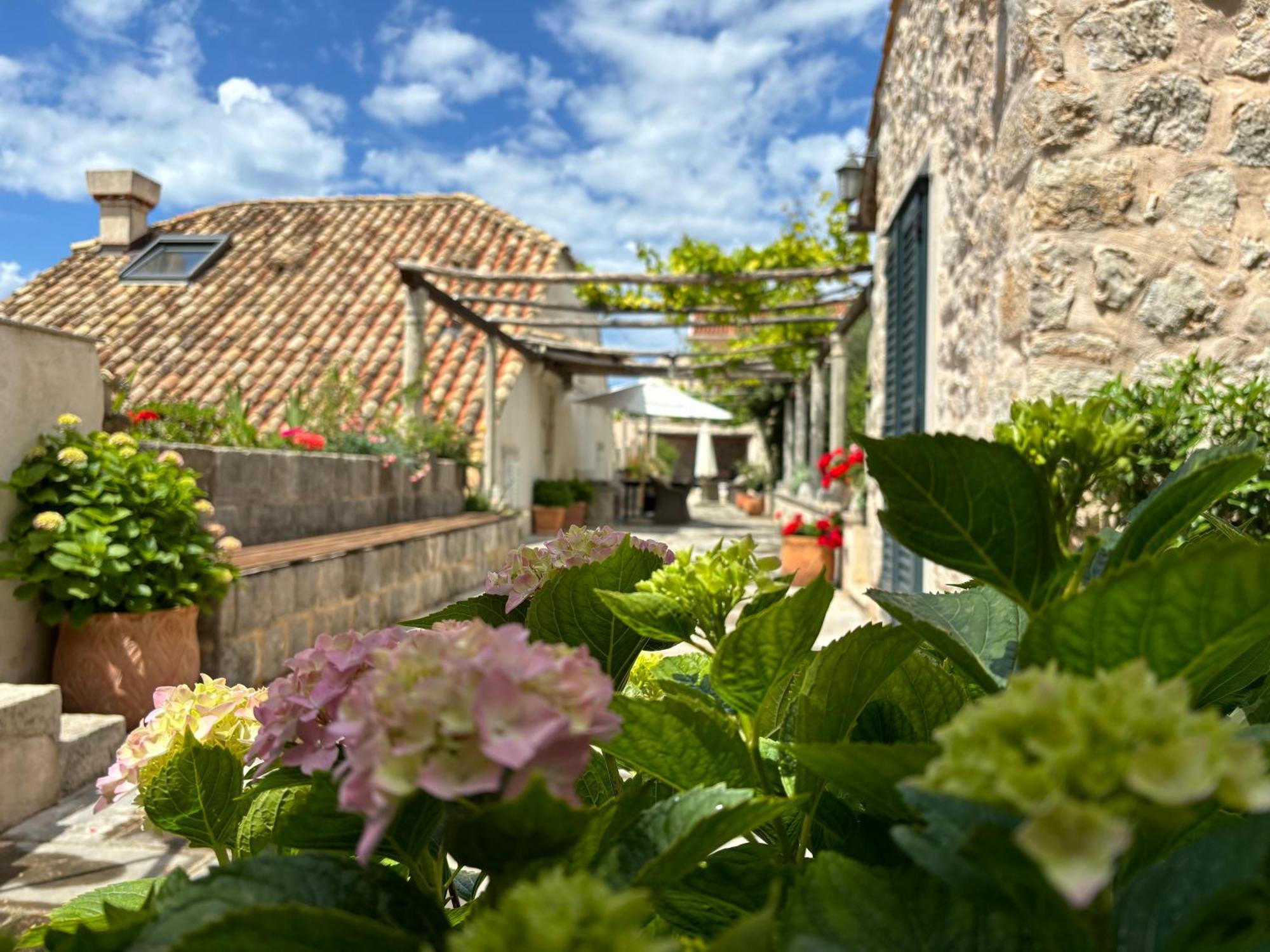 Anica - Luxurious With A Sea View Maison d'hôtes Dubrovnik