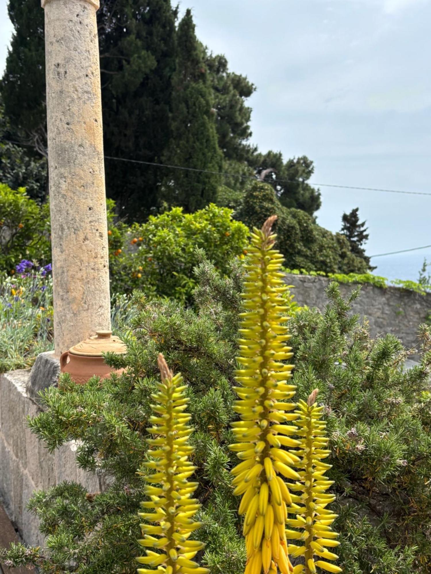 Villa Anica Dubrovnik - Luxurious With A Sea View Guest house